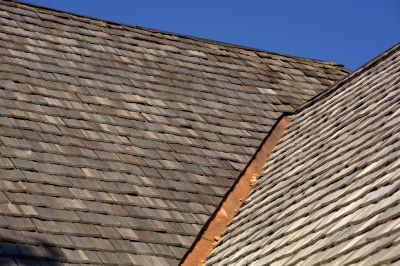 Specialized Roofing Services